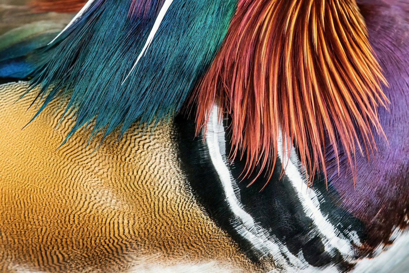 david-clode-QLFu5blLV8k-unsplash